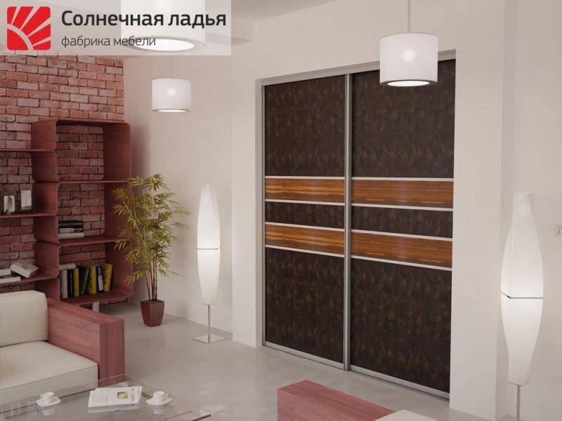 шкаф - купе для гостиной 17 в Сочи