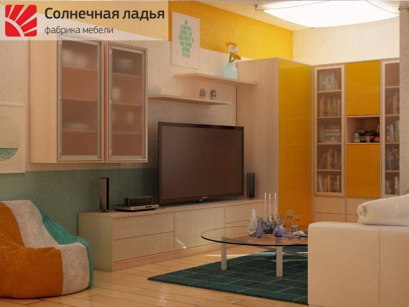 шкаф - купе для гостиной 15 в Сочи