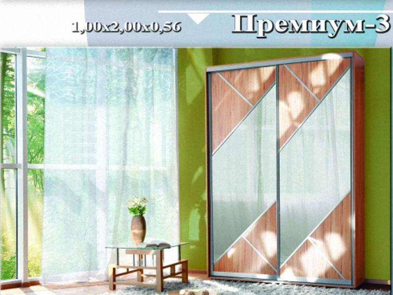 шкаф-купе «премиум 3» в Сочи