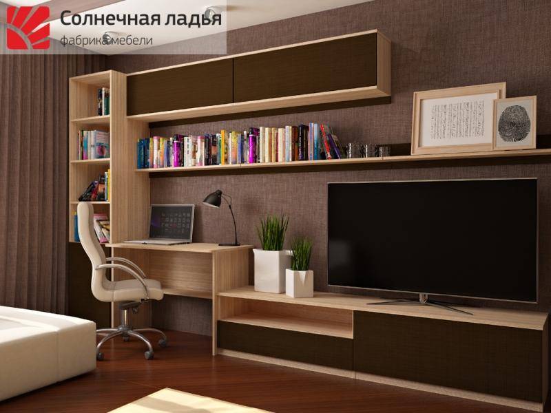 шкаф - купе для гостиной 13 в Сочи
