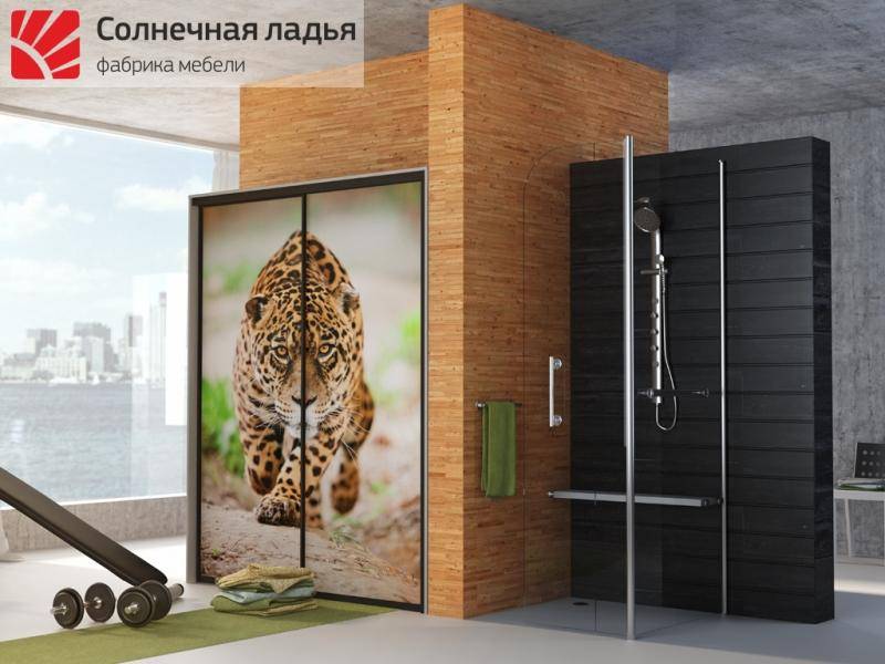 шкаф - купе фотопечать 4 в Сочи