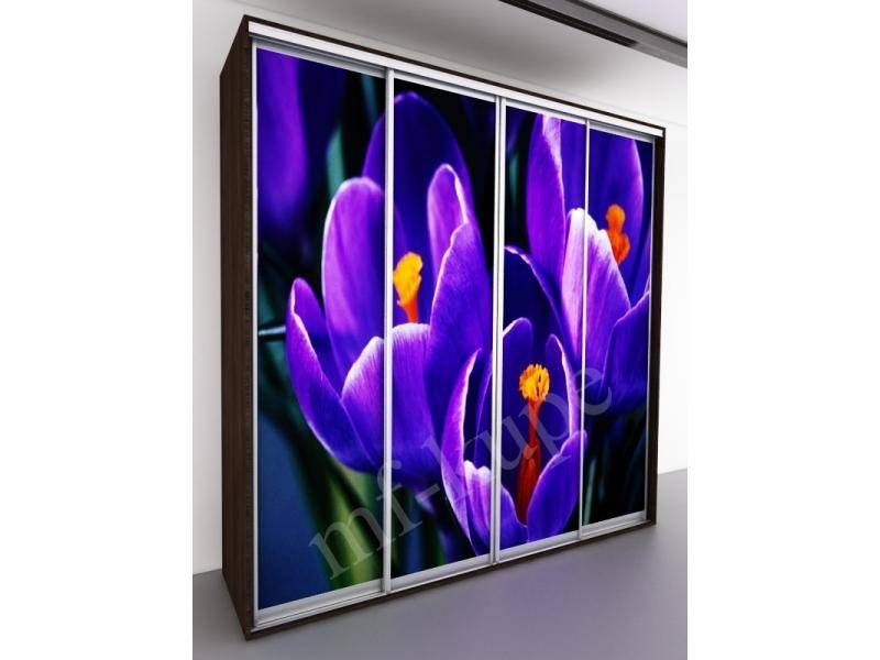 шкаф-купе бергамо violet 4 в Сочи