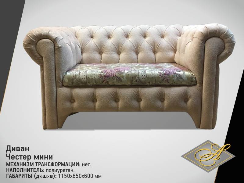 диван честер мини в Сочи