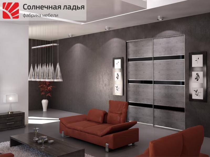 шкаф - купе для гостиной 18 в Сочи