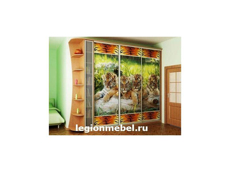 шкаф-купе с фотопечатью в Сочи