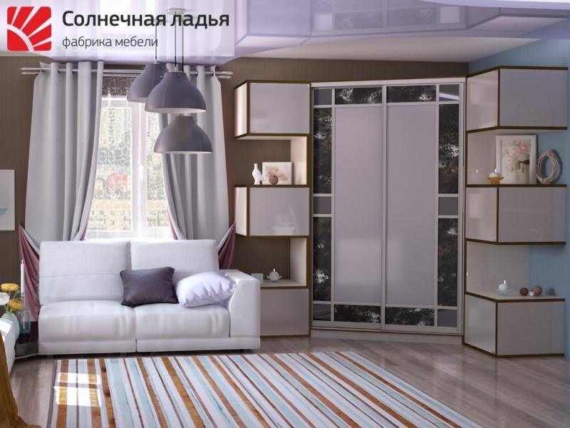 шкаф - купе для гостиной 16 в Сочи