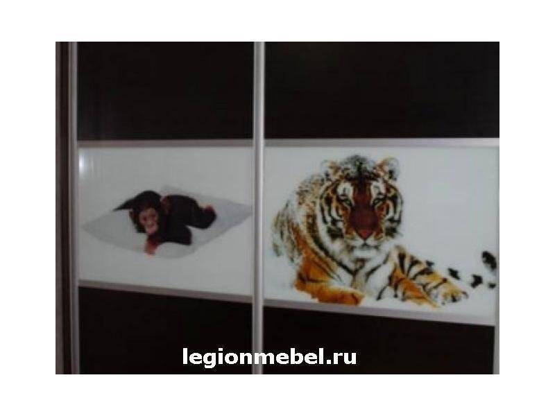 темный шкаф-купе с фотопечатью в Сочи