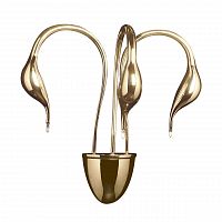 бра lightstar cigno collo 751632 в Сочи