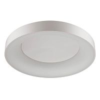 потолочный светодиодный светильник odeon light sole 4062/80cl в Сочи