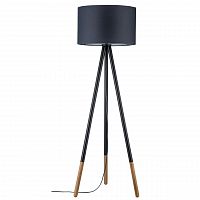 торшер paulmann rurik 79633 в Сочи