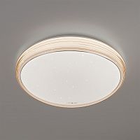 потолочный светодиодный светильник eurosvet universal 40008/1 led кофе в Сочи