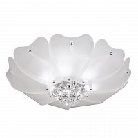 потолочный светильник lightstar lobo 804020 в Сочи