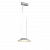 подвесной светодиодный светильник st luce pitto sl427.503.01 в Сочи