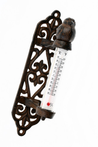 термометр снегирь в Сочи