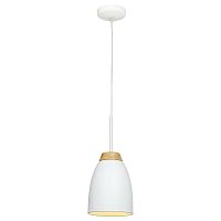 подвесной светильник loft it restor loft4402a-wh в Сочи
