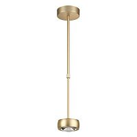 подвесной светодиодный светильник odeon light ottico 3874/10l в Сочи