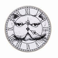 тарелка кот на циферблате в Сочи