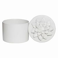шкатулка для украшений white ii - н* в Сочи
