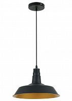 подвесной светильник odeon light kasl 3378/1 в Сочи