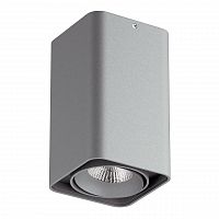 потолочный светодиодный светильник lightstar monocco 052139 в Сочи
