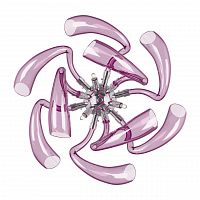 бра lightstar stella 892668 в Сочи