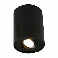 потолочный светильник arte lamp a5644pl-1bk в Сочи