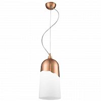 дизайнерский подвесной светильник spot light daga 1676113 в Сочи