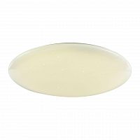 потолочный светодиодный светильник f-promo luna 2319-10c в Сочи