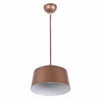 подвесной светильник arti lampadari tempo e 1.3.p1 br в Сочи