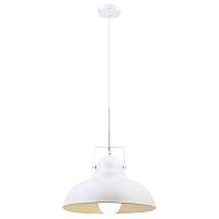 подвесной светильник arte lamp martin a5213sp-1wg в Сочи