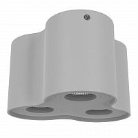 потолочный светильник lightstar binoco 052039 в Сочи