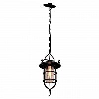 подвесной светильник loft it loft1141 в Сочи