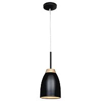подвесной светильник loft it restor loft4402a-bl в Сочи