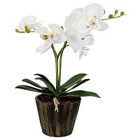 настольная лампа globo flowerpower 28002 в Сочи