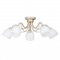 потолочная люстра vitaluce v3598/5pl в Сочи