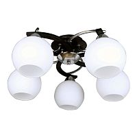 потолочная люстра omnilux caldiero oml-25407-05 в Сочи