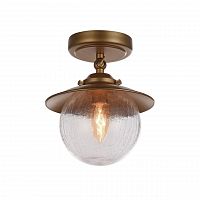 потолочный светильник favourite farola 2027-1u в Сочи