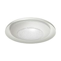 потолочный светодиодный светильник odeon light benso 4623/48cl в Сочи