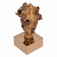 декор burlwood 87 cm в Сочи