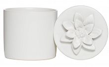 шкатулка для украшений white i в Сочи