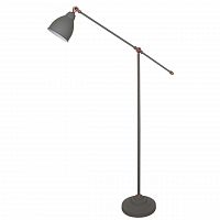 торшер arte lamp braccio a2054pn-1gy в Сочи
