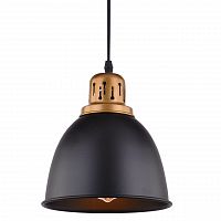 подвесной светильник arte lamp eurica a4245sp-1bk в Сочи