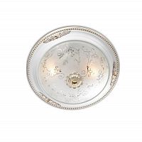 потолочный светильник odeon light corbea 2670/2c в Сочи
