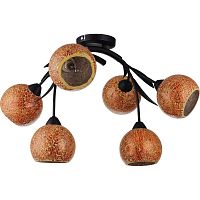 потолочная люстра lussole bagheria lsf-6213-06 в Сочи