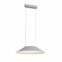 подвесной светодиодный светильник st luce pitto sl427.513.01 в Сочи
