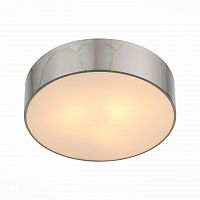 потолочный светильник st luce bagno sl468.502.01 в Сочи