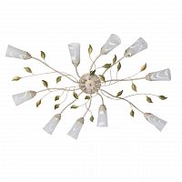 потолочная люстра mw-light восторг 242015510 в Сочи