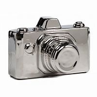 предмет декора camera серебряная в Сочи