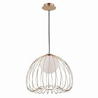 подвесной светильник maytoni polly mod543pl-01g в Сочи
