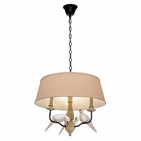 подвесная люстра loft it loft1029a-2 в Сочи